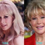Is Barbara Eden Plastic Surgery the Best-Kept Secret in Hollywood? Find Out Now