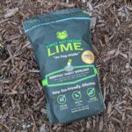 Discover First Saturday Lime Unbelievable Net Worth in 2024
